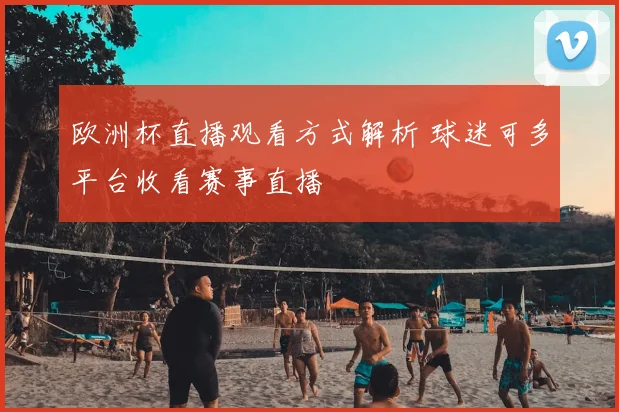 欧洲杯直播观看方式解析 球迷可多平台收看赛事直播
