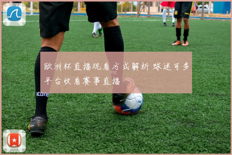 欧洲杯直播观看方式解析 球迷可多平台收看赛事直播