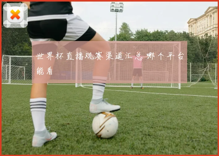 世界杯直播观赛渠道汇总 哪个平台能看